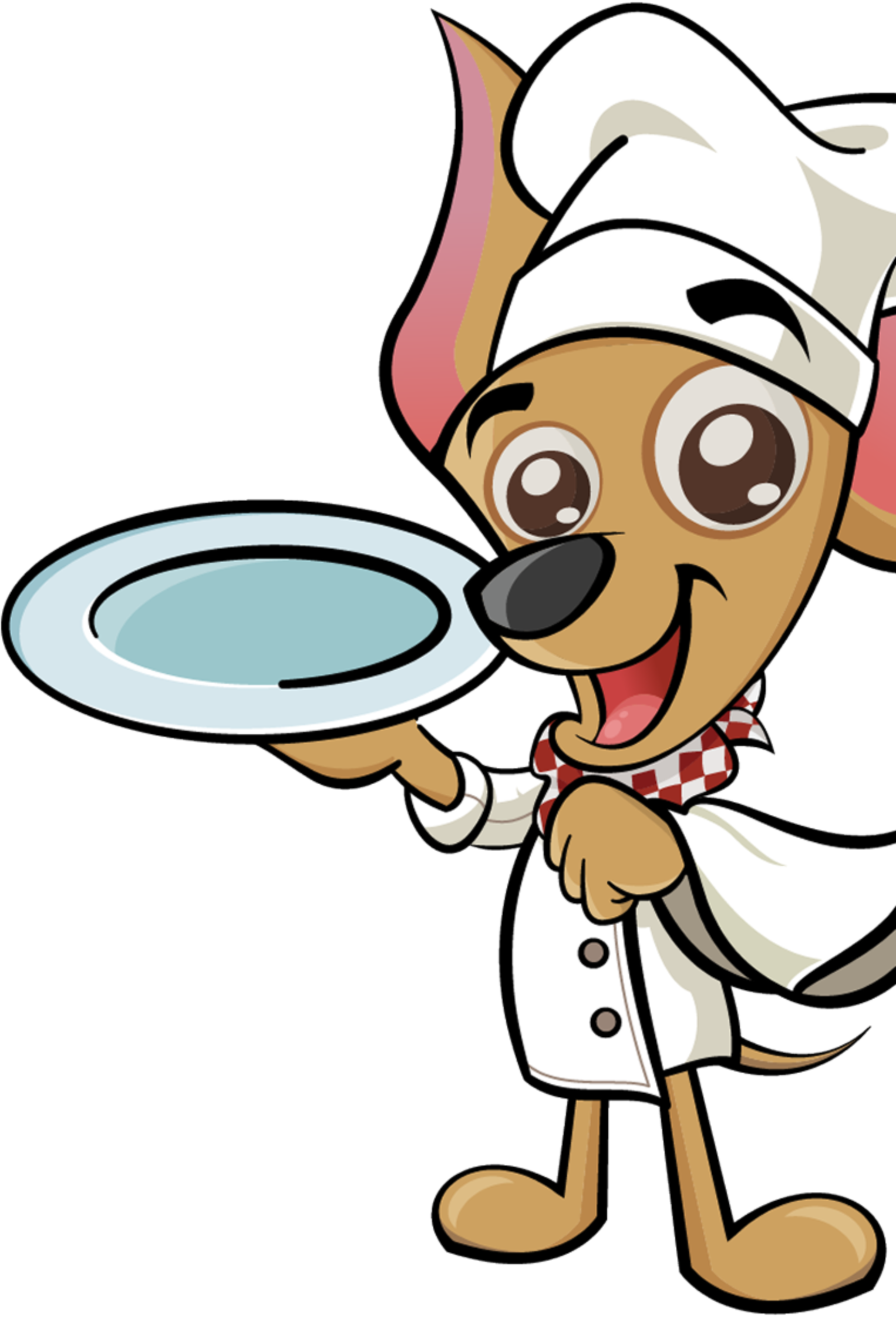 Roni Chef